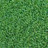 MIYUKI Round Rocailles Beads SEED-G007-RR0259-3