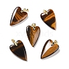 Natural Tiger Eye Pendants G-E570-01G-07-1