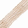 Braided Burlap Ribbon OCOR-WH0060-63-1