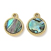 304 Stainless Steel Natural Paua Shell Pendants STAS-U037-12G-01-1