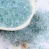 Glass Seed Beads SEED-L011-05B-07-1