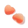 Imitation Candy Food Style Resin Cabochons RESI-R461-01L-2