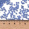 8/0 Ceylon Round Glass Seed Beads X-SEED-A011-3mm-146-4