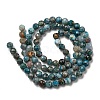 Natural Apatite Beads Strands G-K185-02-4MM-01-3