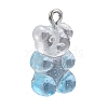 DIY 40Pairs Bear Transparent Resin Earrings Kits DIY-LS0001-02-2