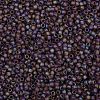 TOHO Round Seed Beads SEED-XTR08-0166BF-2