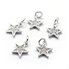 Brass Micro Pave Cubic Zirconia Charms X-ZIRC-G087-35P-1