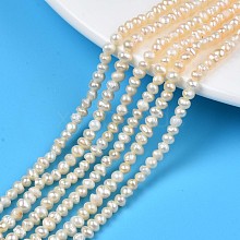 Natural Cultured Freshwater Pearl Beads Strands PEAR-N013-03B