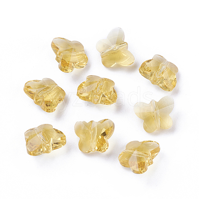 Transparent Glass Beads GLAA-P037-02A-30-1
