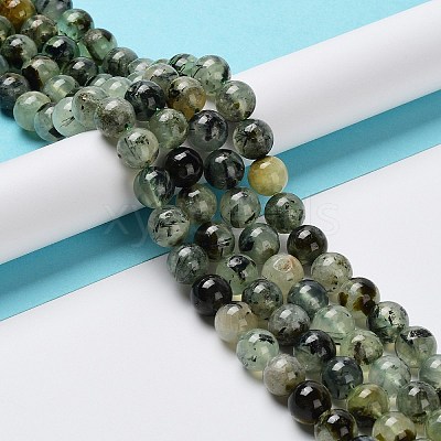 Natural Prehnite Beads Strands G-P322-48-10mm-01-1