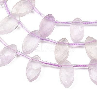 Natural Amethyst Beads Strands G-P607-A05-01-1