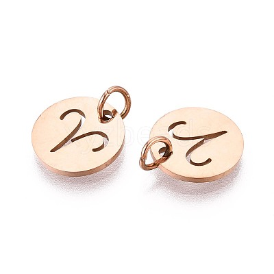 304 Stainless Steel Charms STAS-Q201-T445-1R-1
