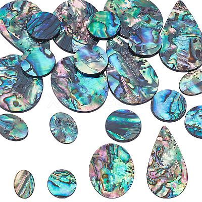 18Pcs 4 Styles Natural Paua Shell Cabochons SHEL-WR0001-10-1