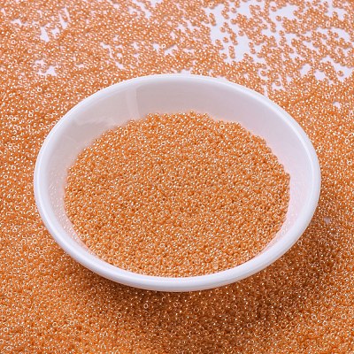 MIYUKI Round Rocailles Beads X-SEED-G007-RR0423-1