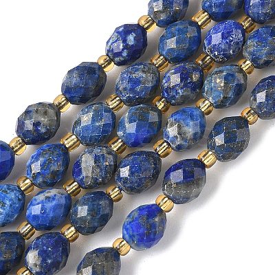 Dyed Natural Lapis Lazuli Beads Strands G-F809-A35-01-1
