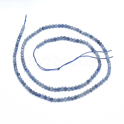Natural Iolite/Cordierite/Dichroite Beads Strands X-G-G823-15-2.5mm-1