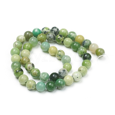 Natural Serpentine Beads Strands X-G-G829-06-8mm-1