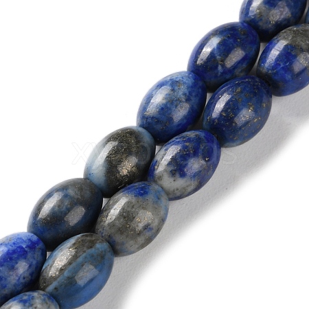 Natural Lapis Lazuli Beads Strands G-I369-B15-01-1