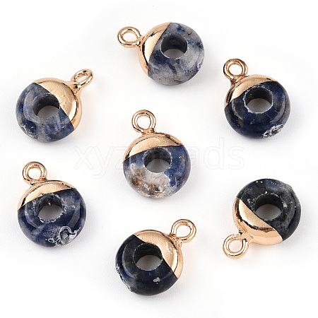 Natural Blue Spot Jasper Flat Round/Donut Charms G-I347-10-1