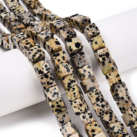 Natural Dalmatian Jasper Beads Strands G-T139-8x8-17A-1