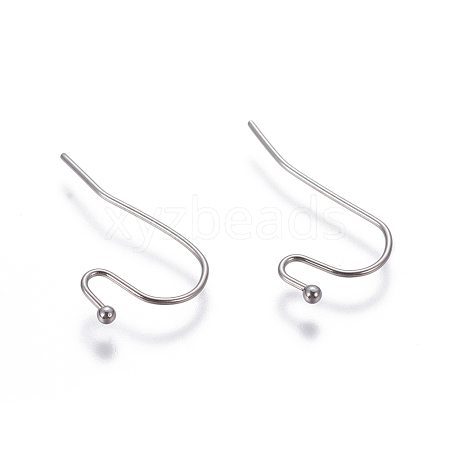 Tarnish Resistant 304 Stainless Steel Earring Hooks STAS-G190-08P-1