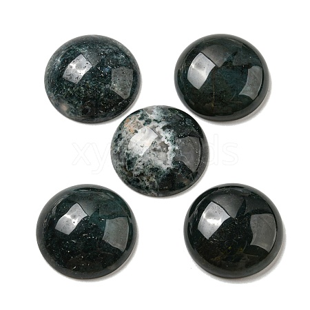 Natural Moss Agate Cabochons G-C115-02A-46-1