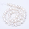 Natural Cultured Freshwater Pearl Beads Strands PEAR-R063-20-01A-2