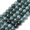 Natural Blue Jade Beads Strands G-H341-8mm-02-2