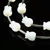 Natural Trochid Shell/Trochus Shell Beads Strands SSHEL-N032-26-3