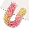 Transparent Painted Glass Beads Strands DGLA-A034-T1mm-A09-1