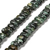 Dyed Natural African Turquoise(Jasper) Beads Strands G-Q167-B23-01-1