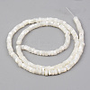 Natural Trochid Shell/Trochus Shell Beads Strands X-SHEL-R049-024-2