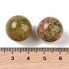 Natural Unakite No Hole Sphere Beads G-K353-04D-05-3