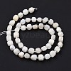 Natural Rainbow Moonstone Beads Strands G-K323-11-4