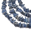 Natural Kyanite/Cyanite/Disthene Chip Beads Strands X-G-E271-78-3