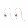 Transparent Resin Earring Hooks RESI-G050-01RG-1