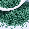 MIYUKI Delica Beads SEED-JP0008-DB2127-1