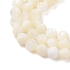 Natural Trochus Shell Beads Strands SHEL-P017-05-3