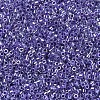 MIYUKI Delica Beads SEED-JP0008-DB0250-4