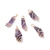 Rough Natural Amethyst Pendants PALLOY-JF01443-01-1