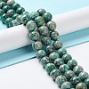 Natural Chrysocolla Beads Strands G-C093-A01-03-1