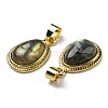 Natural Labradorite Pendants G-M405-05G-2