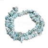 Natural Larimar Beads Strands G-D109-B03-5
