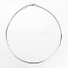 Non-Tarnish 304 Stainless Steel Necklaces X-NJEW-D274-02P-1