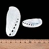Abalone Shells Ornaments SHEL-T020-54-4
