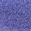 MIYUKI Delica Beads SEED-X0054-DB0243-4