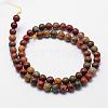 Natural Polychrome Jasper/Picasso Stone/Picasso Jasper Bead Strands G-D840-85-4mm-2