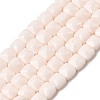 Opaque Glass Beads Strands GLAA-L050-C20-1