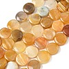 Natural Yellow Botswana Agate Beads Strands G-F790-H04-04-2