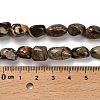 Natural Ocean Jasper Beads Strands G-P497-01E-76-5